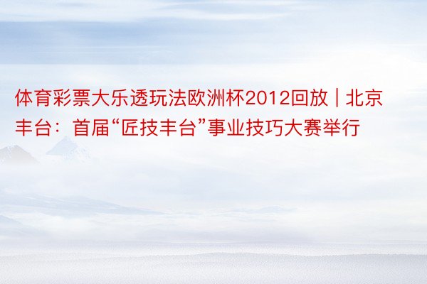 体育彩票大乐透玩法欧洲杯2012回放 | 北京丰台：首届“匠技丰台”事业技巧大赛举行