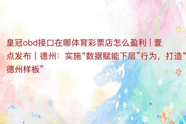 皇冠obd接口在哪体育彩票店怎么盈利 | 壹点发布｜德州：实施“数据赋能下层”行为，打造“德州样板”